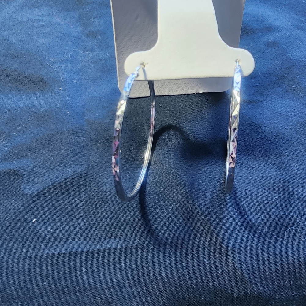 Elegant Silver Hoop Earrings